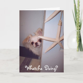 Whatcha Doing Hello Puppy? Card