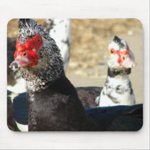 "Whatcha Doing?" Mouse Mat