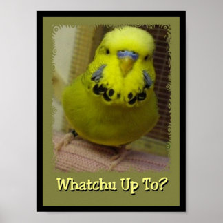 Whatchu Up To 3 Poster