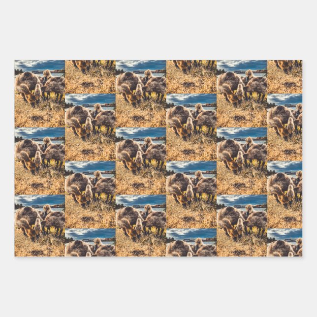 Whatcom county outdoors set wrapping paper sheet (Front)