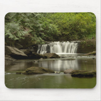Whatcom Falls Park Mouse Mat