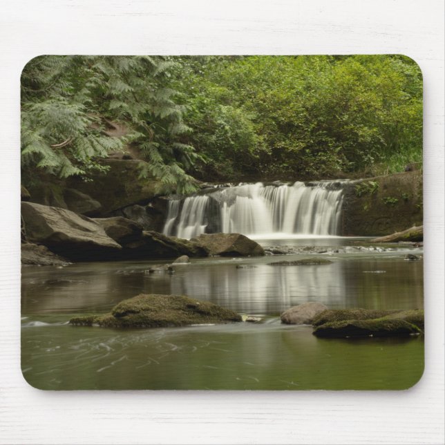 Whatcom Falls Park Mouse Mat (Front)