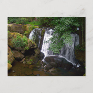 Whatcom Falls Postcard