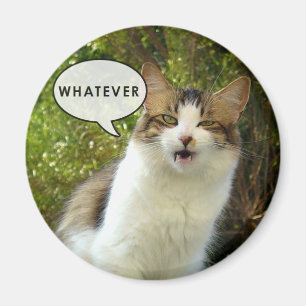 Whatever Magnet 01