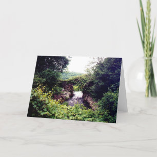 What's Ahead (card) Card