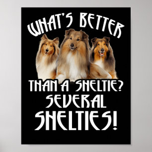 What's Better Than A Sheltie Several Shelties! Poster