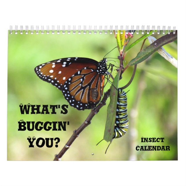 What's Buggin' You - Insect Calendar - Edition 1 (Cover)