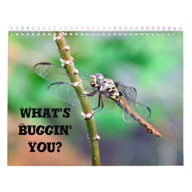 What's Buggin' You - Insect Calendar Edition 2 (Cover)