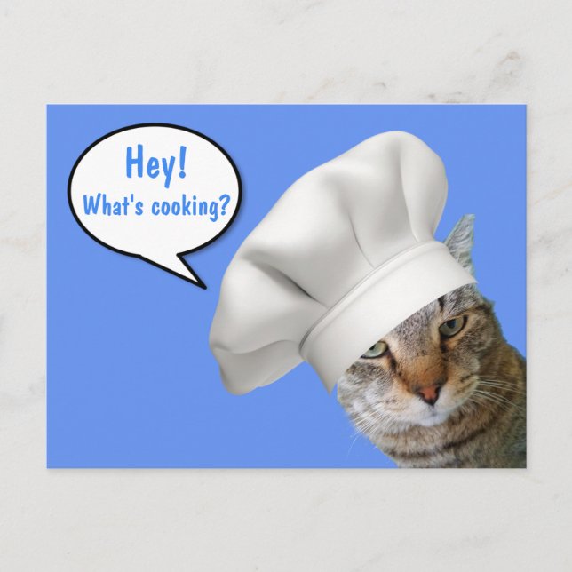 What's Cooking? Chef Cat Postcard (Front)