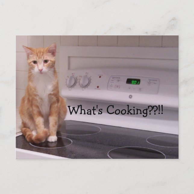 What's Cooking??!! Postcard (Front)