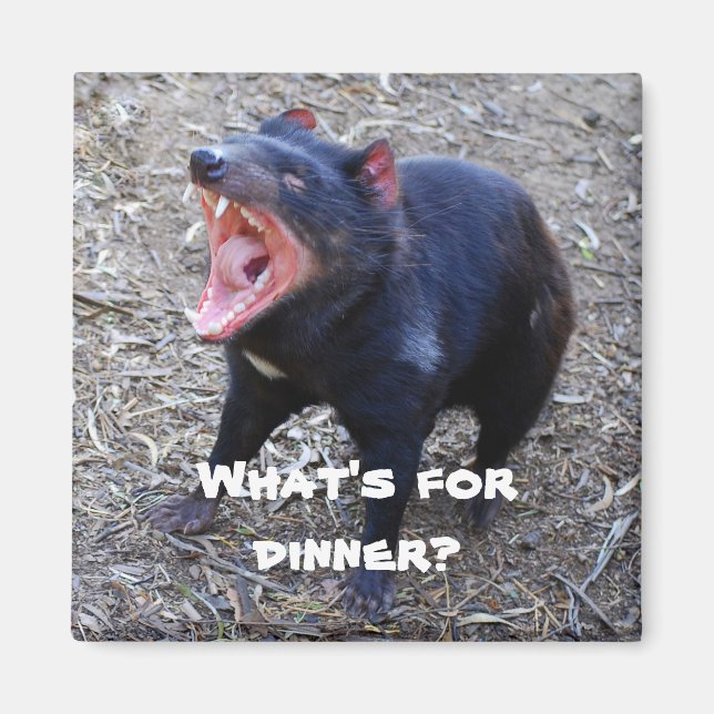 "What's for Dinner?" Tasmanian Devil Magnet (Front)