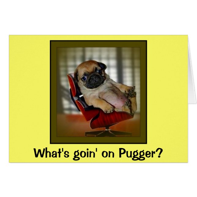 What's Goin on Pugger? (Front Horizontal)