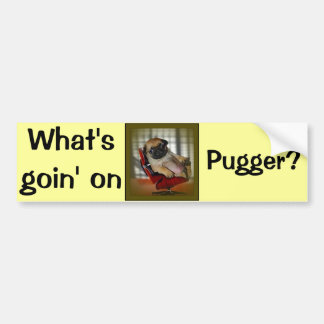 What's Goin on Pugger? Bumper Sticker