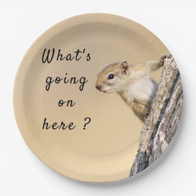 What's going on here squirrel photo with text paper plate (Front)