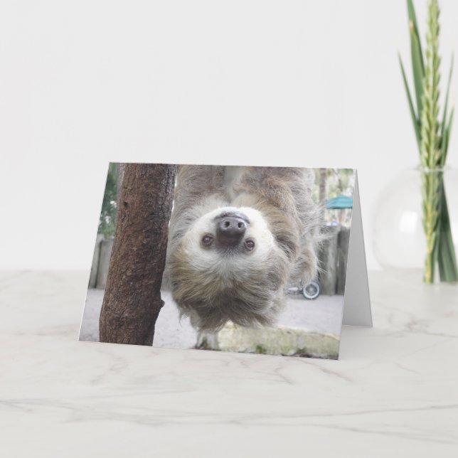 What's Hangin' ? Card (Front)