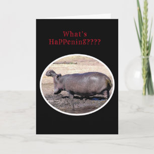 "What's Happening???/HIPPOPOTAMUS ROARING GREETING Holiday Card