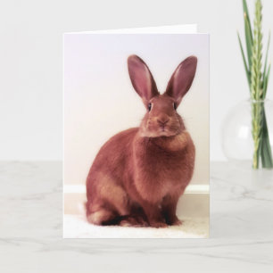 "What's hoppenin'?" Card