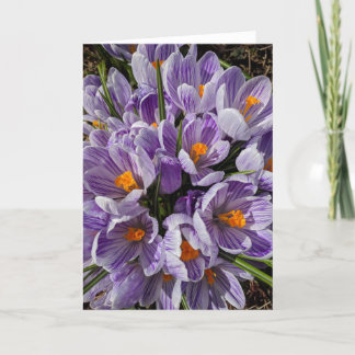 What's in the Frames? #9 Card