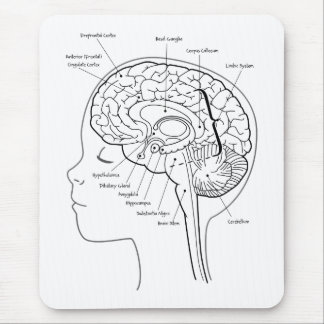 What's in Your Brain Mouse Mat