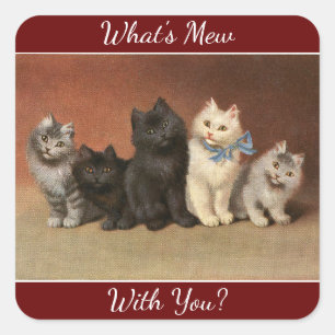 What's Mew Cats Sticker