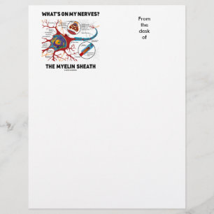 What's On My Nerves? The Myelin Sheath