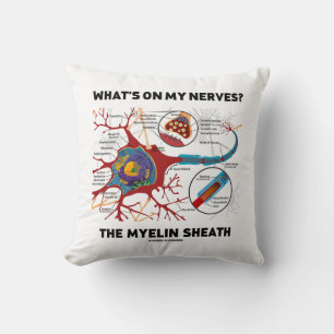 What's On My Nerves? The Myelin Sheath Cushion