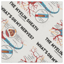 What's On My Nerves? The Myelin Sheath