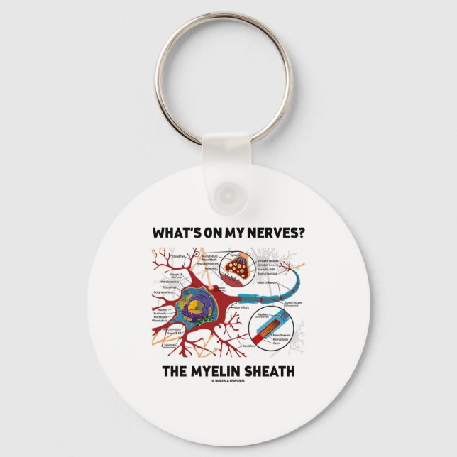 What's On My Nerves? The Myelin Sheath Key Ring (Front)