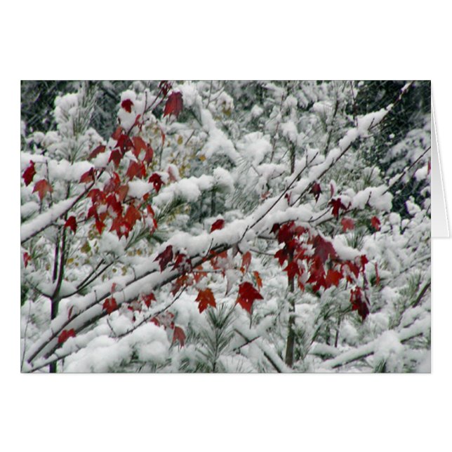 What's red and white and snow all over? (Front Horizontal)