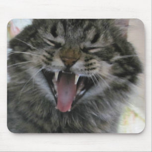 What's So Funny?  I'm a cat you're not Mouse Mat