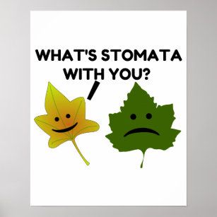 What's Stomata With You Poster