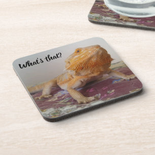 What's that Cute Orange Bearded Dragon Picture Coaster