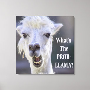 What's The Prob- Llama ? Cute Funny LLAMA Canvas Print