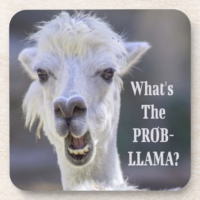 What's The Prob- Llama ? Cute Funny LLAMA Coaster (Front)