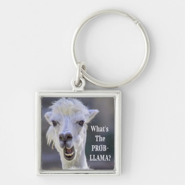 What's The Prob- Llama ? Cute Funny LLAMA Key Ring (Front)