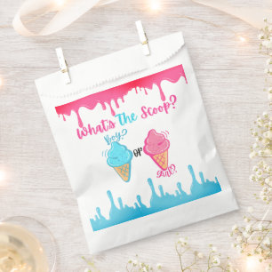 What's the Scoop Ice Cream Gender Reveal Favour Bags