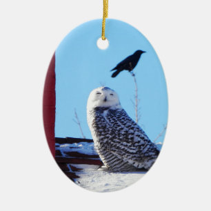 What's The World You See? Ceramic Tree Decoration
