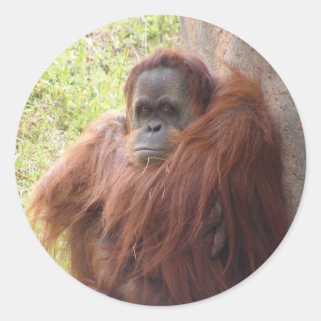 What's There To Smile About? Classic Round Sticker (Front)