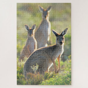 WHAT'S UP! 20x30 INCH Jigsaw Puzzle