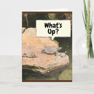 WHAT'S UP BESIDES YOUR AGE **60th BIRTHDAY" Card