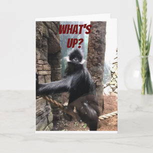 WHAT'S UP BESIDES YOUR AGE? **70th** BIRTHDAY Card