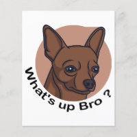 What's Up Bro  Chihuahua, Funny Quote Dog