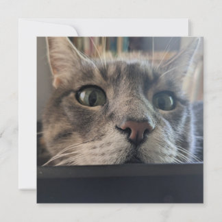 What's up, Cat? Square Greeting Card