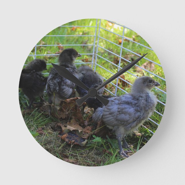 Whats Up - Chicken Butt Round Clock (Front)