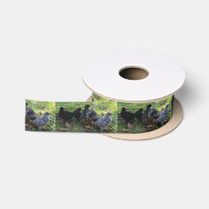 Whats Up - Chicken Butt Satin Ribbon
