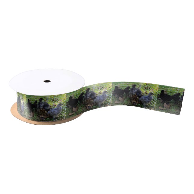 Whats Up - Chicken Butt Satin Ribbon (Spool)