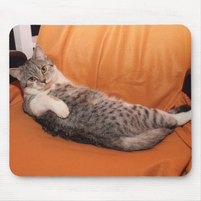What's Up? Dinner Ready? Mouse Mat (Front)
