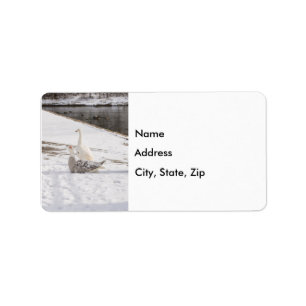 Whats Up Goose Address Label