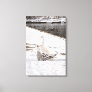 Whats Up Goose Canvas Print