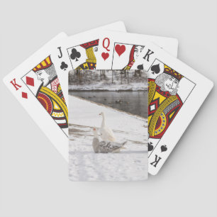 Whats Up Goose Playing Cards